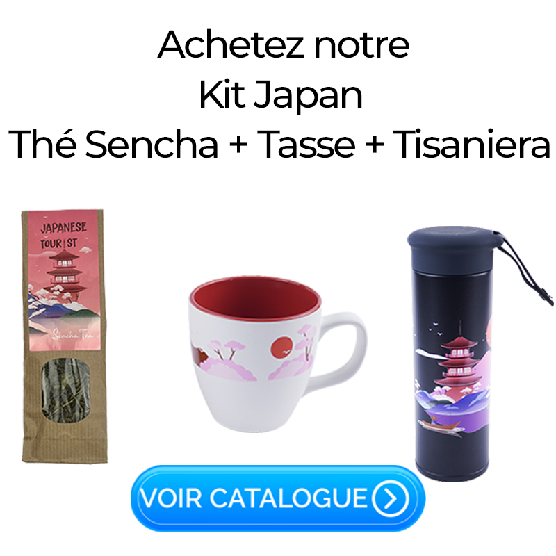 kit-800-800-FR kit 800 800 FR