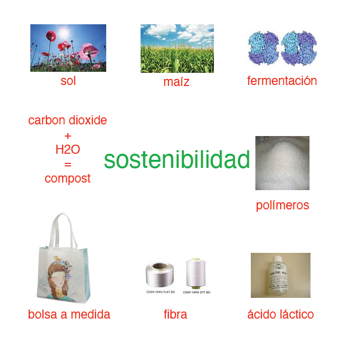 ciclo borsa es